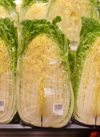 白菜 139円(税込)