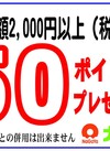 ２０００円以上ご購入でポイントプレゼント！ 50ポイントプレゼント