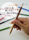 ☆ツイン式色鉛筆＆水でふけるクレヨン☆ 110円(税込)