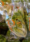 うるおい野菜 106円(税込)