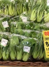 ちんげん菜 106円(税込)