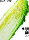白菜 84円(税込)