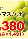 シャインマスカット 1,491円(税込)