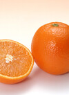 清美オレンジ４個入り 430円(税込)