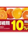 柑橘類 10%引
