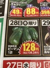 ピーマン 138円(税込)