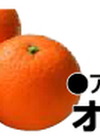 オレンジ 430円(税込)