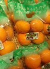 興居島柑橘匠の会のせとか 753円(税込)