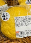 黄金色のメロンパン 204円(税込)