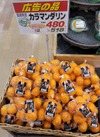 カラマンダリン 518円(税込)