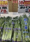 小松菜・おり菜 85円(税込)