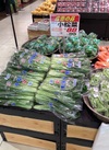 小松菜 95円(税込)