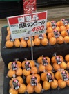 清見タンゴール 518円(税込)