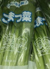 小松菜 95円(税込)