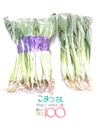目玉❗オーガニック小松菜を半額に❗ 50円引