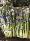 小松菜 106円(税込)