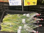 にんにくの芽 139円(税込)