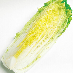 白菜 137円(税抜)