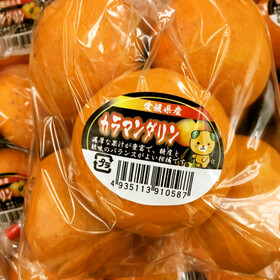 カラマンダリンオレンジ 398円(税抜)