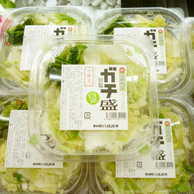 ガチ盛り白菜 230円(税抜)