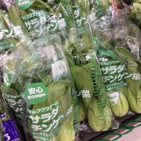 チンゲン菜 100円(税抜)