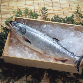 銀鮭　(養殖・解凍) 150円(税抜)