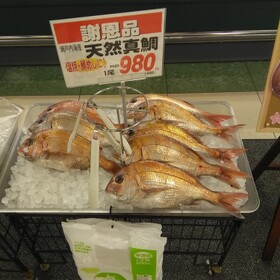 天然真鯛 980円(税込)