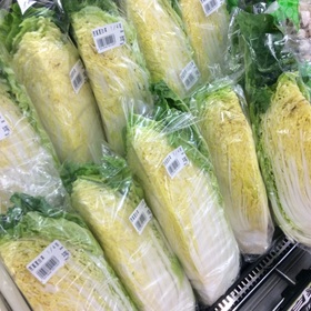 白菜 100円(税抜)