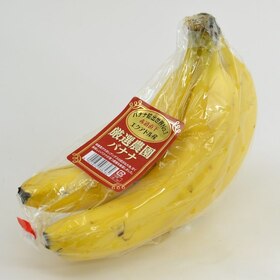 厳選農園バナナ 178円(税抜)