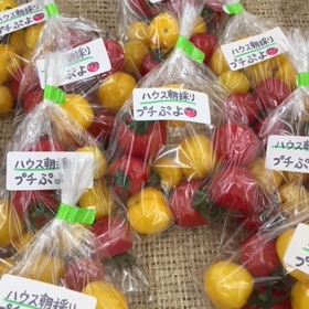 ミニトマト（プチぷよ）産直売り場より 150円(税込)