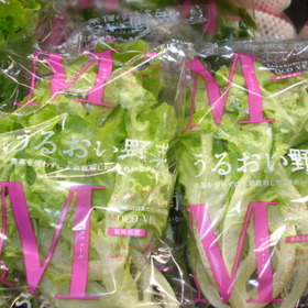 うるおい野菜（モコベールレタス） 198円(税抜)
