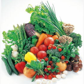 野菜・果物 20%引
