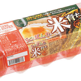 にっぽんの米育ち赤たまご 198円(税抜)