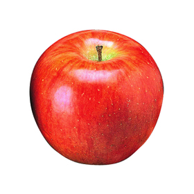 りんご（サンつがる） 178円(税抜)