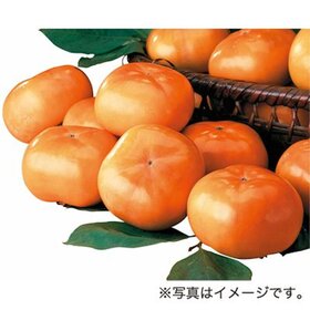 たねなし柿　Mサイズ 98円(税抜)