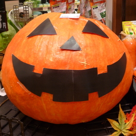 かぼちゃ 5,800円(税抜)