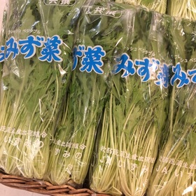 水菜 158円(税抜)