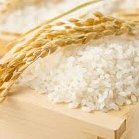 お米全品通常価格から１０％ＯＦＦ 10%引