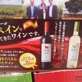 ソラス　ワイン各種 698円(税抜)