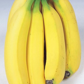 有機栽培バナナ 158円(税抜)