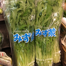 水菜 98円(税抜)