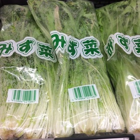 水菜 100円(税抜)