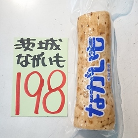 長芋 198円(税込)