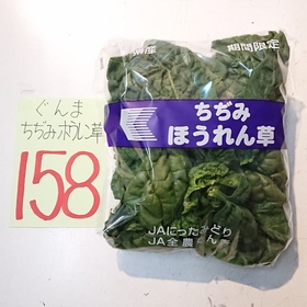 ちぢみほうれん草 158円(税込)