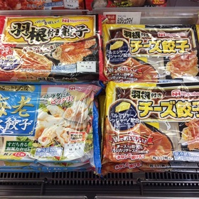 羽根つき餃子(オリジナル.チーズ).白湯スープ餃子 100円(税抜)