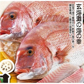 真鯛(養殖)刺身用 498円(税抜)