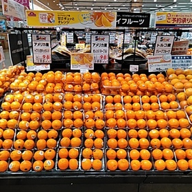 甘さギュッとオレンジ 98円(税抜)