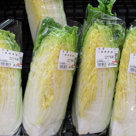 春白菜　１/４カット 88円(税抜)