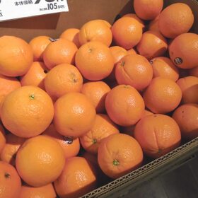 オレンジ 98円(税抜)