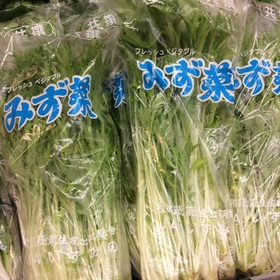 水菜 100円(税抜)